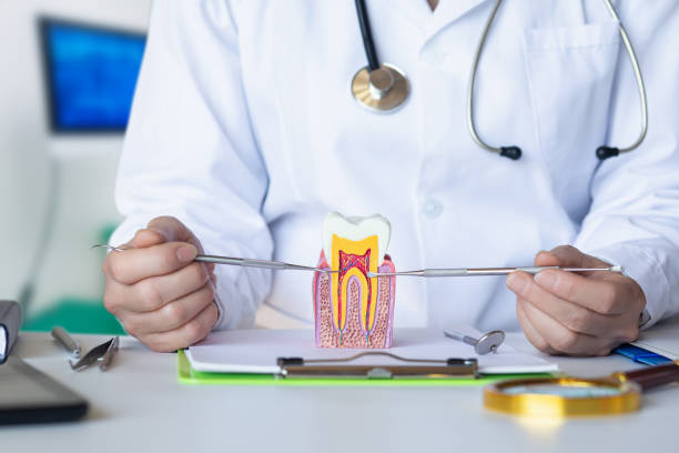 Best Emergency Broken Tooth Repair in Starkville, MS